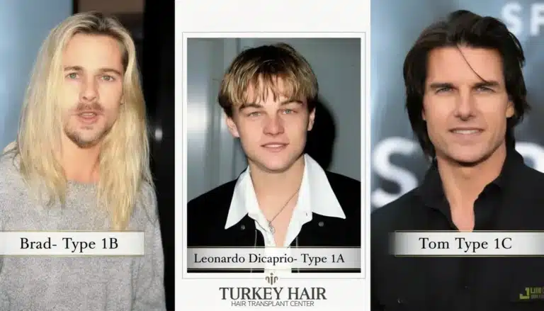 Type 1 Hair Explained: 1A, 1B, 1C Texture, Care &Amp; Curl Potential Hair Restoration Excellence You Can Trust